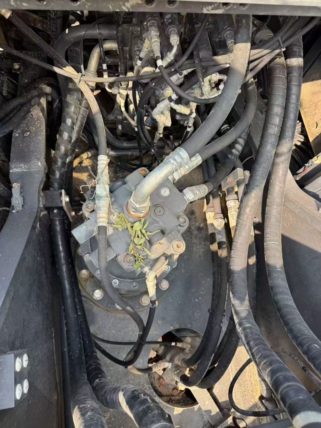 微信图片_20250912031039_171_11