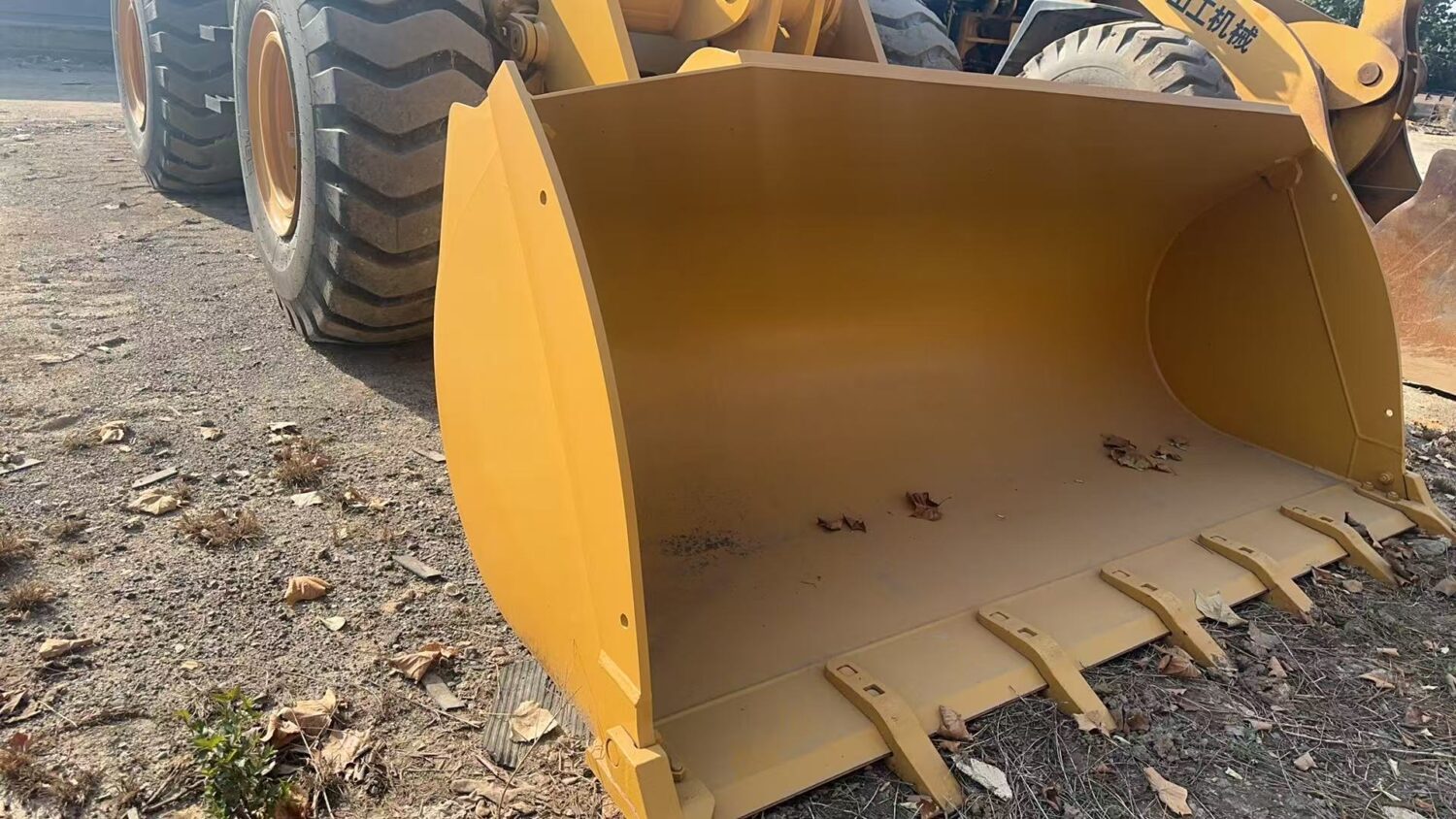 微信图片_20251104101949_246_10