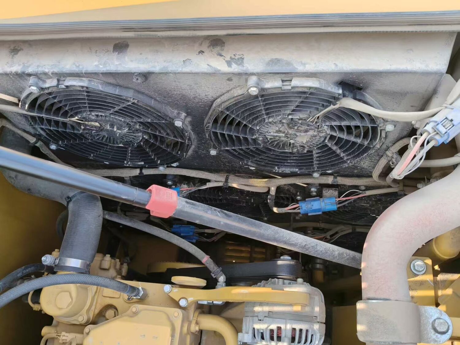 微信图片_20251110131720_147_6